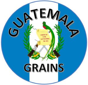 LOGO GUATEMALA GRIANS