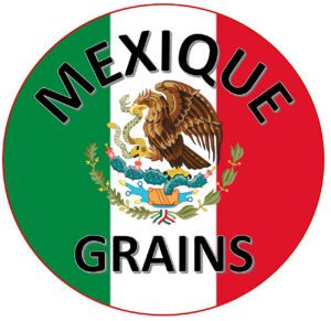 MEXIQUE GRAINS