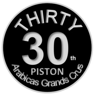 LOGO THIRTY PISTON