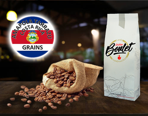 Café Costa Rica grains