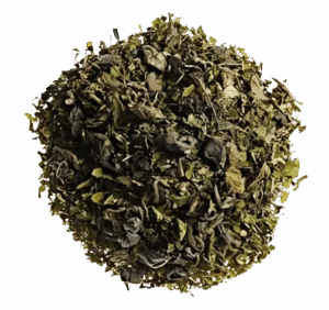 Thé Vert Oasis