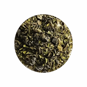 Thé Vert Oasis