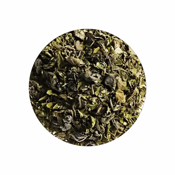 Sachet Thé Vert des Oasis individuel – Image 3