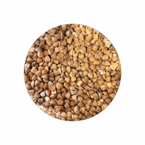 Infusion Régal de Sobacha BIO