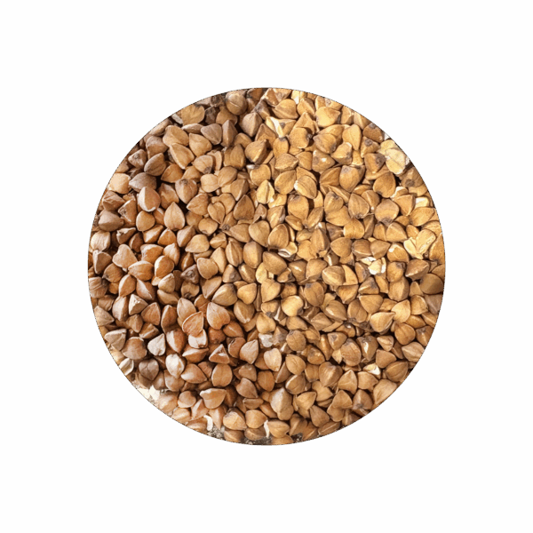 Infusion Régal de Sobacha BIO
