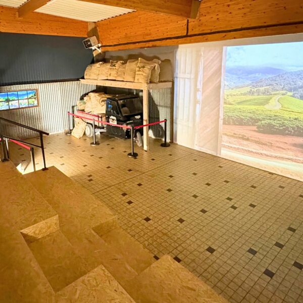 Salle vidéo avec écran et gradins.